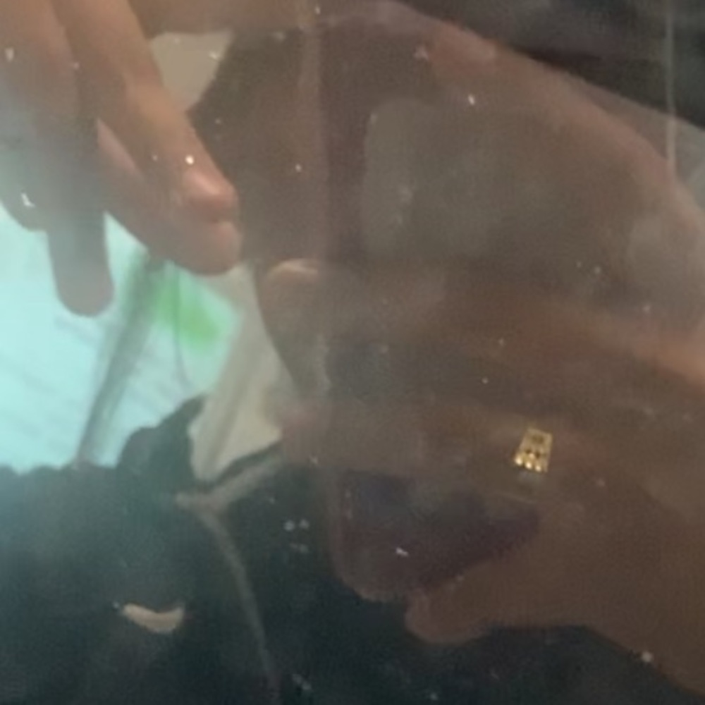 Meet your Posher, Yoselyn